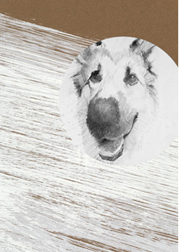 Ilustracción para La bicicleta de Sumji de Amoz Oz Editorial Siruela