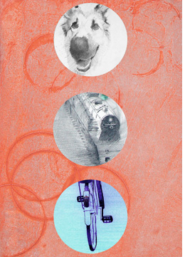 Ilustracción para La bicicleta de Sumji de Amoz Oz Editorial Siruela